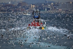 力仕事（正社員・自営業・個人事業主）