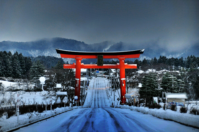 寒い冬