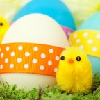 将来有望な卵にもお金が必要