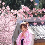 春は引越しシーズン
