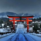 寒い冬